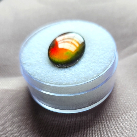 AMMOLITE - Picture 1 of 5